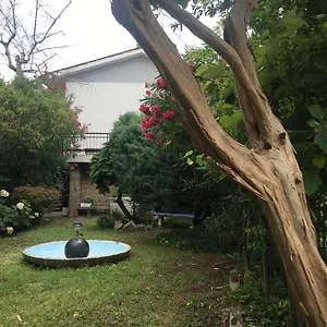 Rotonda Dai Santi , Rovigo Italia